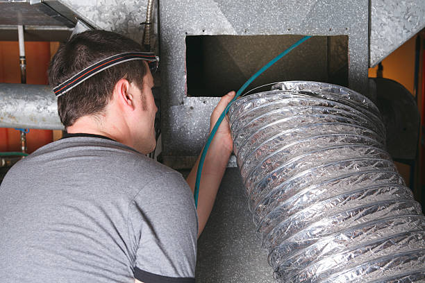 Air Duct Mold Removal in Galesville, MD